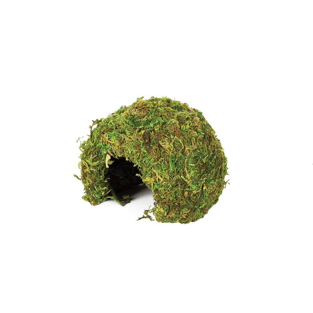 Komodo Small Natural Moss Cave for Reptiles - S