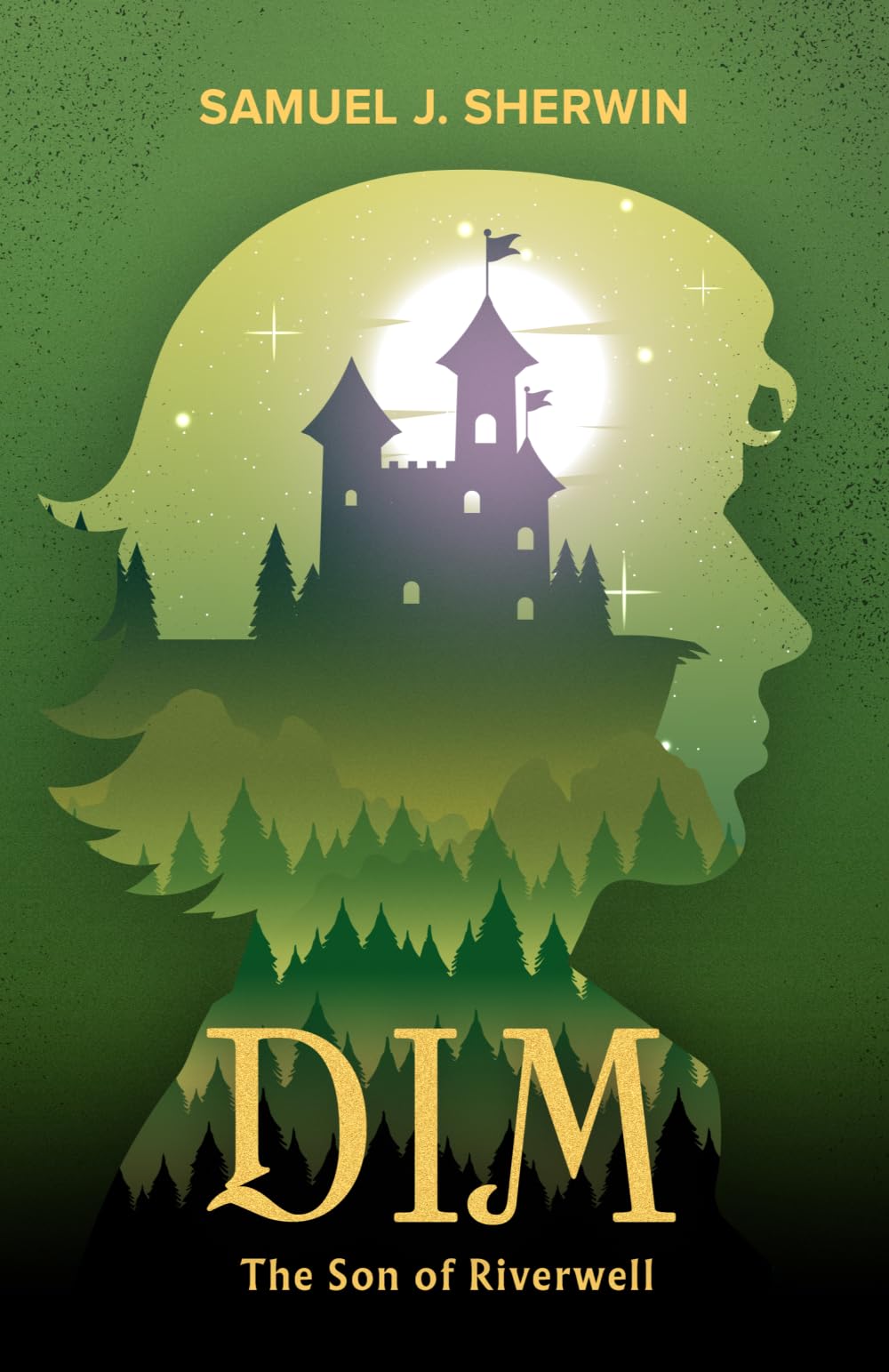 Dim: The Son of Riverwell (PublishU)