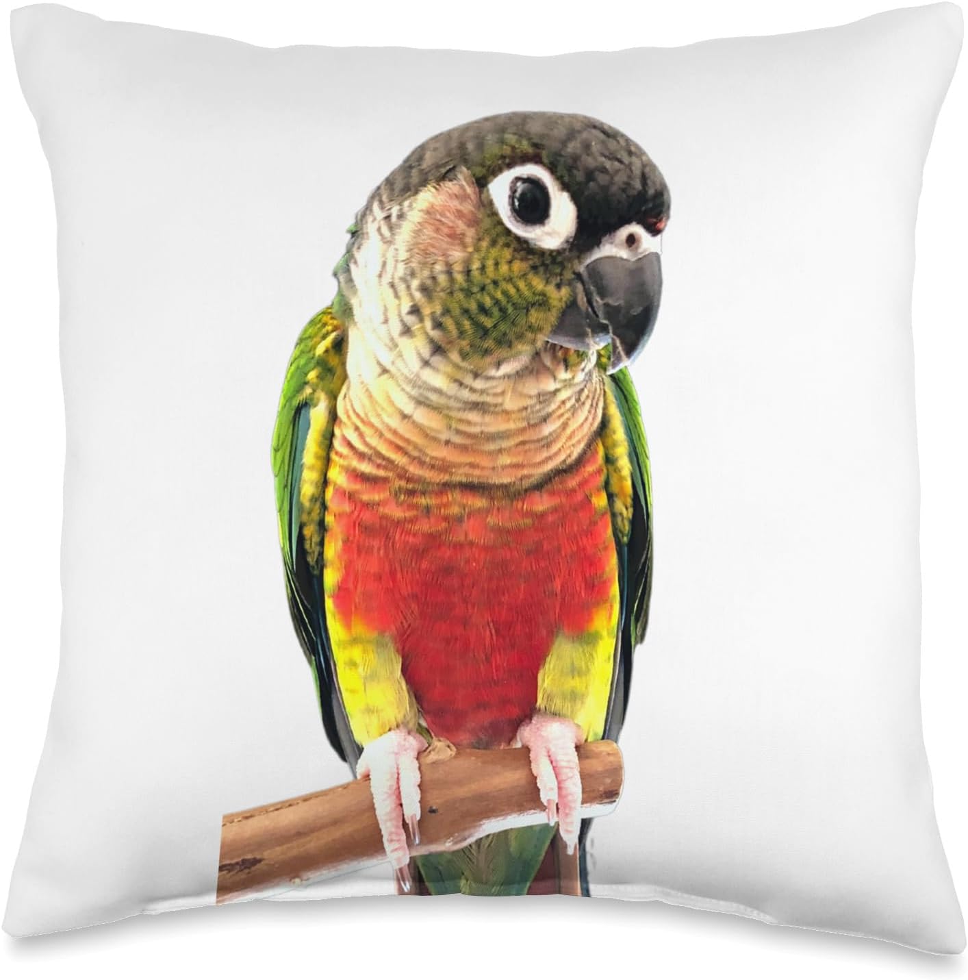 Parrot Bird Green Cheek Conure Throw Pillow