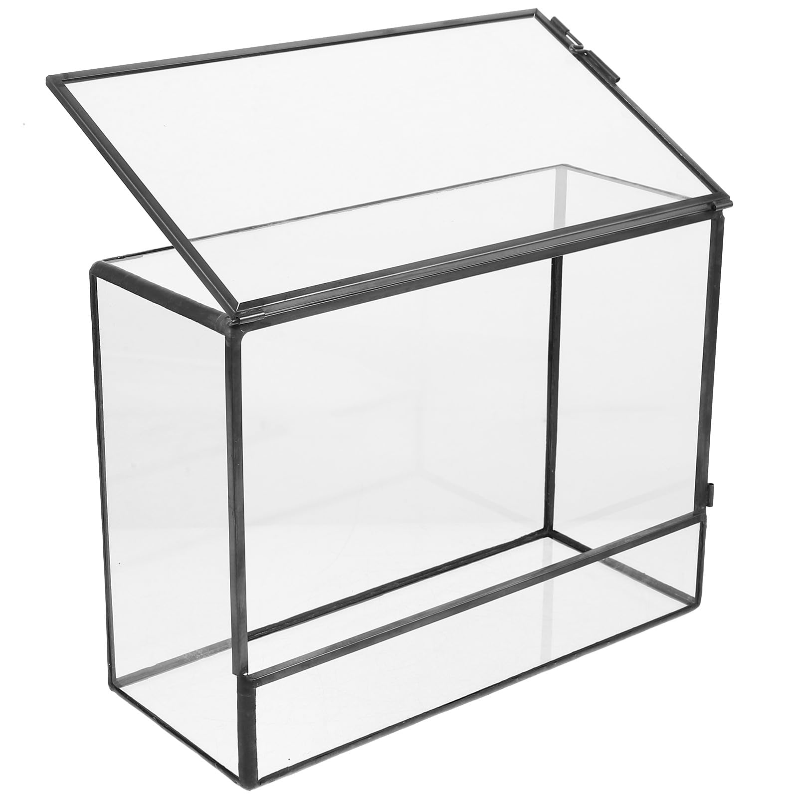 Ökologisches Glas Terrarium 145x80x195mm Mikro Landschafts Pflanzkasten Transparenter Tischpflanzenhalter für Wohnzimmer und Fensterbank