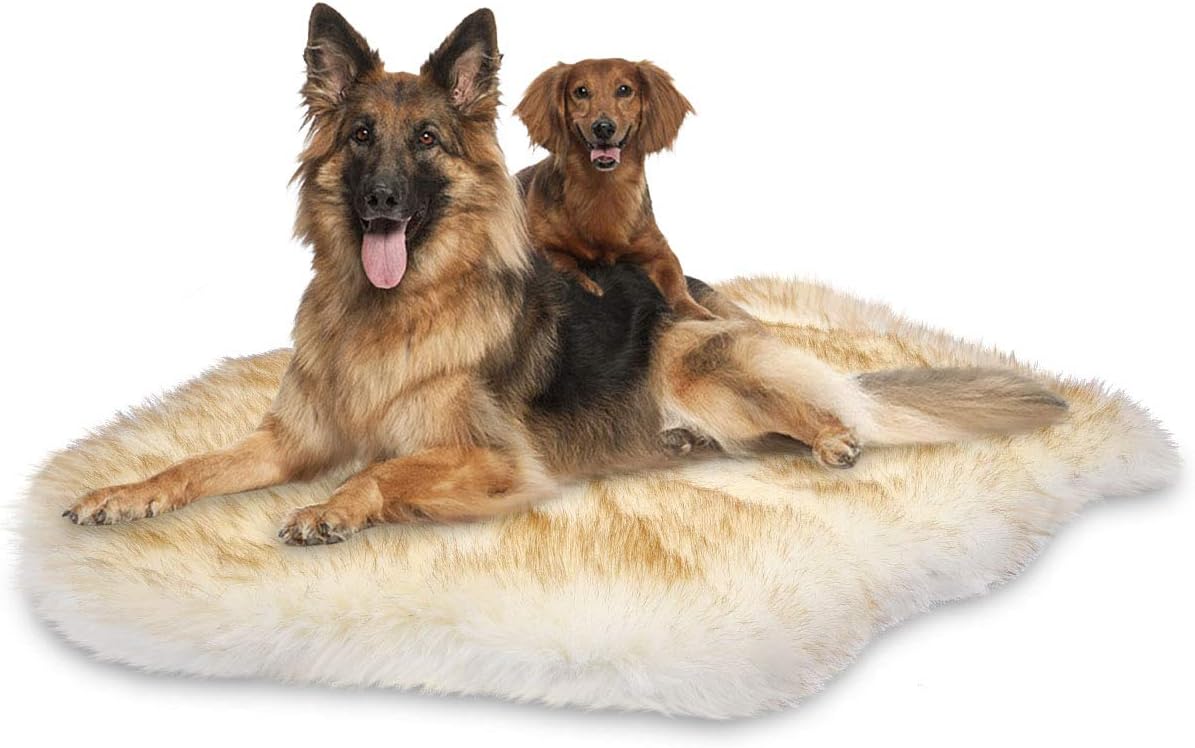 INVENHO Luxury Faux Fur Dog Bed with Comfortable Soft Thick Premium Memory Foam Base Anti-Slip for Large Medium Dogs(40''x25”)