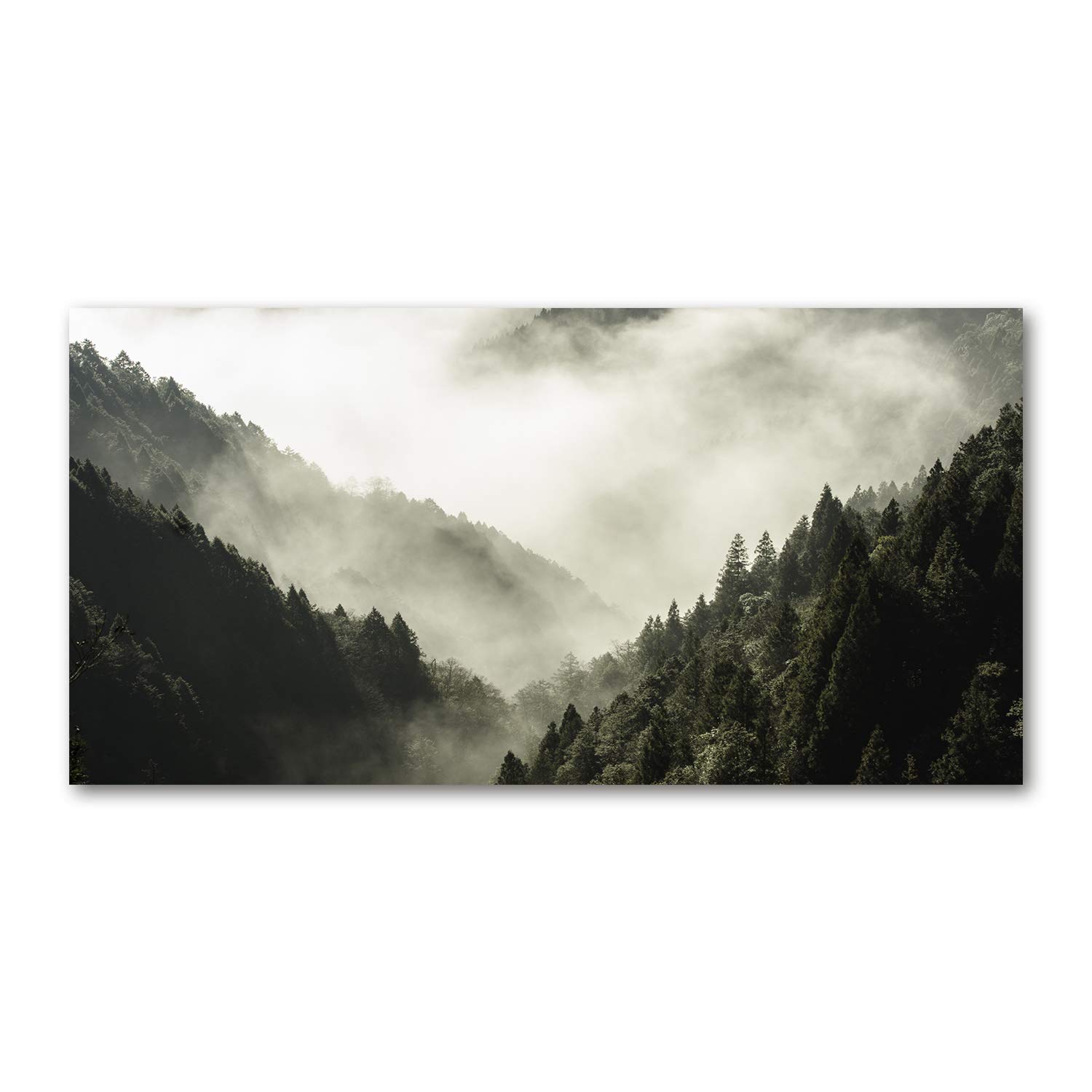 Impression sur verre 120x60 cm forêt dans le brouillard noir et blanc pour salon