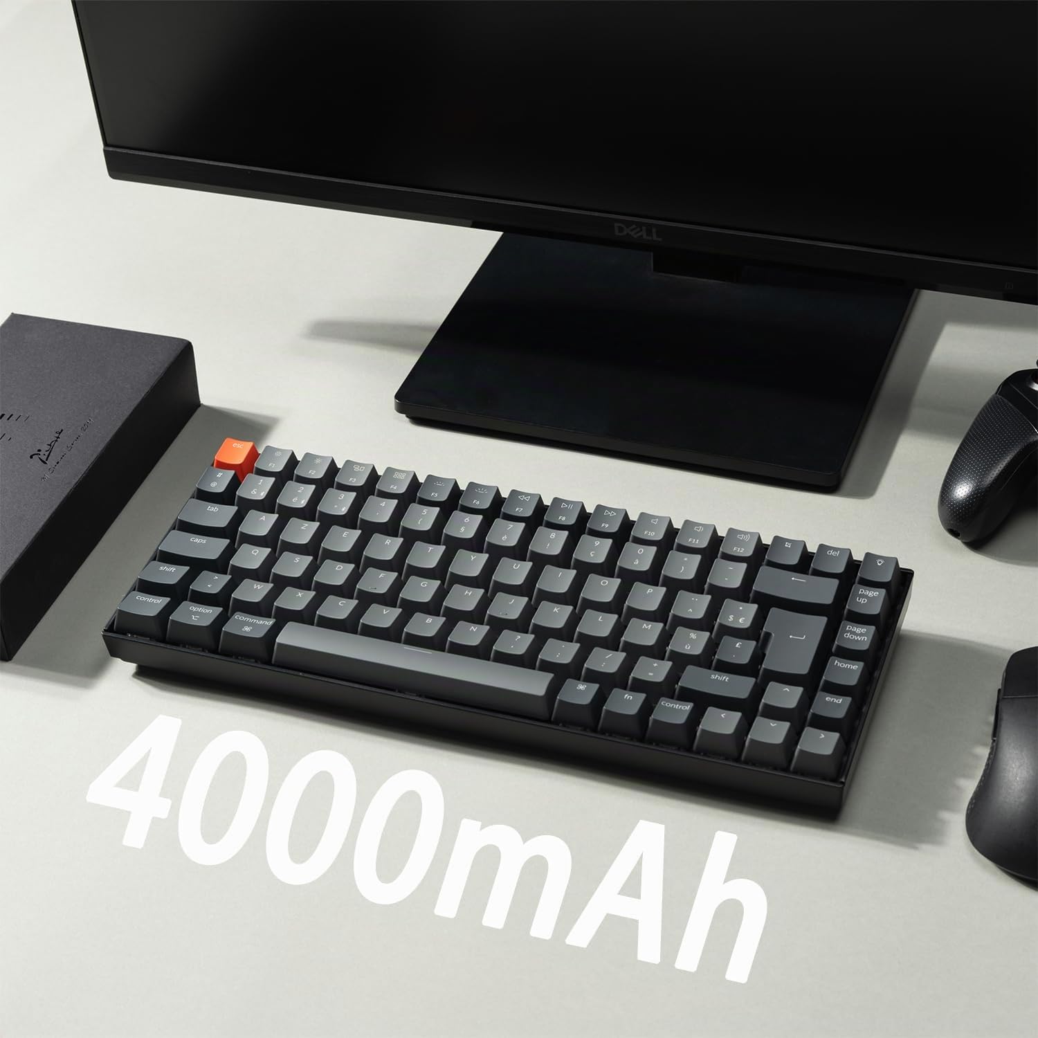 Keychron K2 QMK Clavier Mécanique sans Fil, Disposition 75%, Hot-Swap Commutateurs Banane, Rétroéclairage LED RVB et Rechargeable, Bluetooth 5.2 pour Mac/Windows/Linux, Disposition FR- Version 3