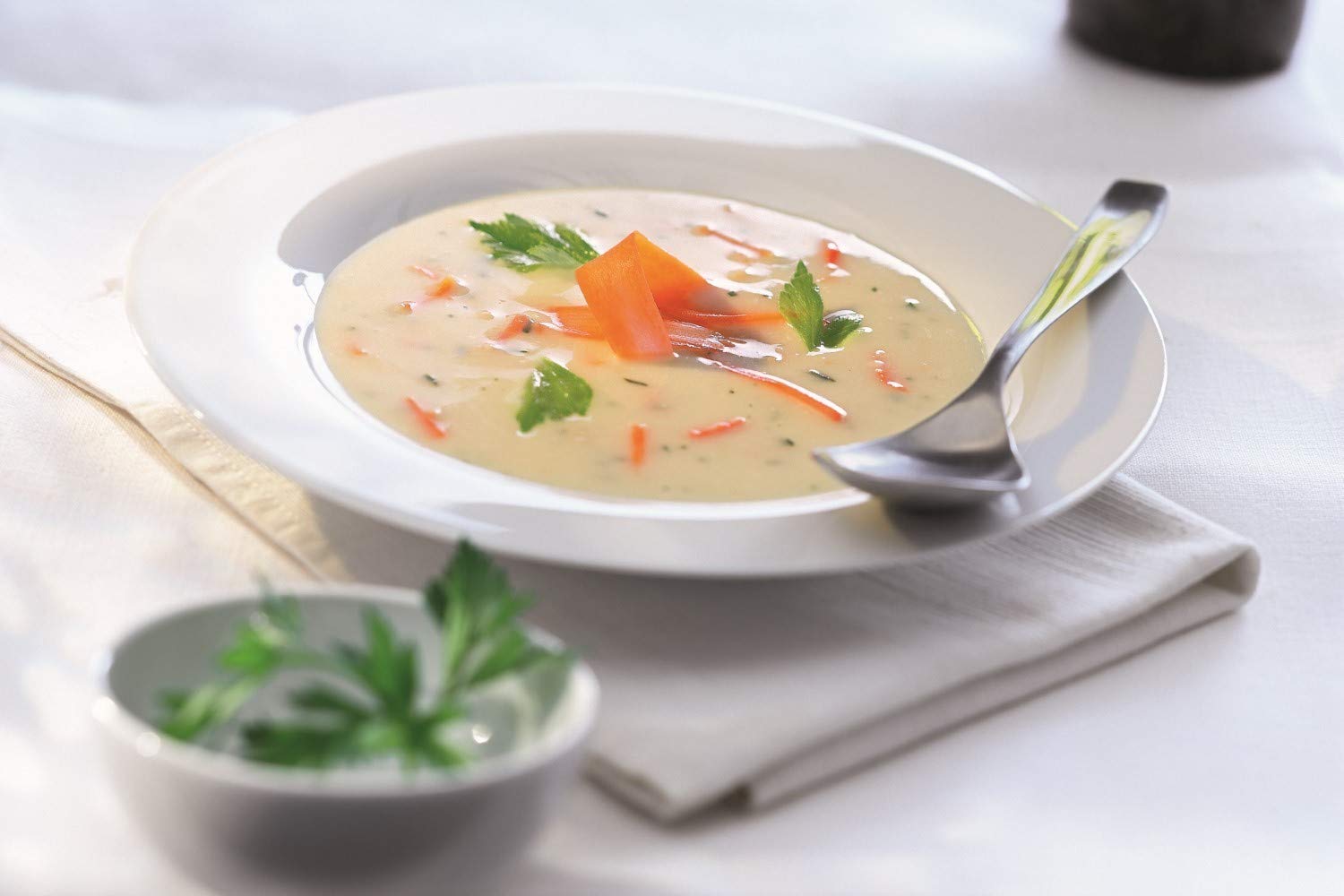 Knorr Sellerie-Karotten Cremesuppe Trockenmischung (mit Petersilie verfeinert) 1er Pack (1 x 1,65 kg)