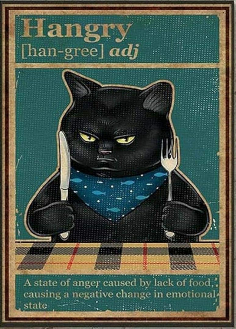 Bioprocess Hangry Black Cat Poster Cat Poster Metal Tin Sign 8X12 inch