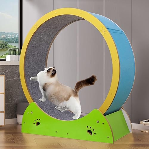 ROYUMI Rueda de ejercicio para gatos para interiores, rueda de ejercicio para gatos pequeños, rueda de ejercicio para gatos con espacio pequeño,
