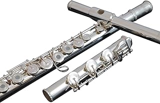 Dizi 17 Silver-plated Opening And Closing Holes Dual-use Nickel-silver Tube Flute Beginner Professional General flute instrument