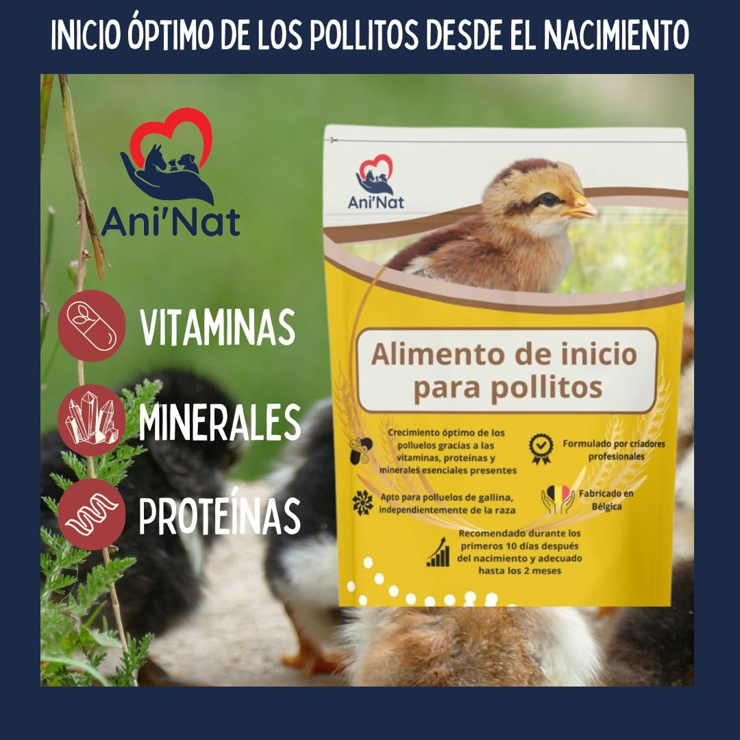 AniNat Alimento de Inicio para Pollitos, Comida de Primera Edad con vitaminas, proteínas y minerales, aceites Esenciales. Apto Desde el Nacimiento. Sin OGM. Sin antibióticos