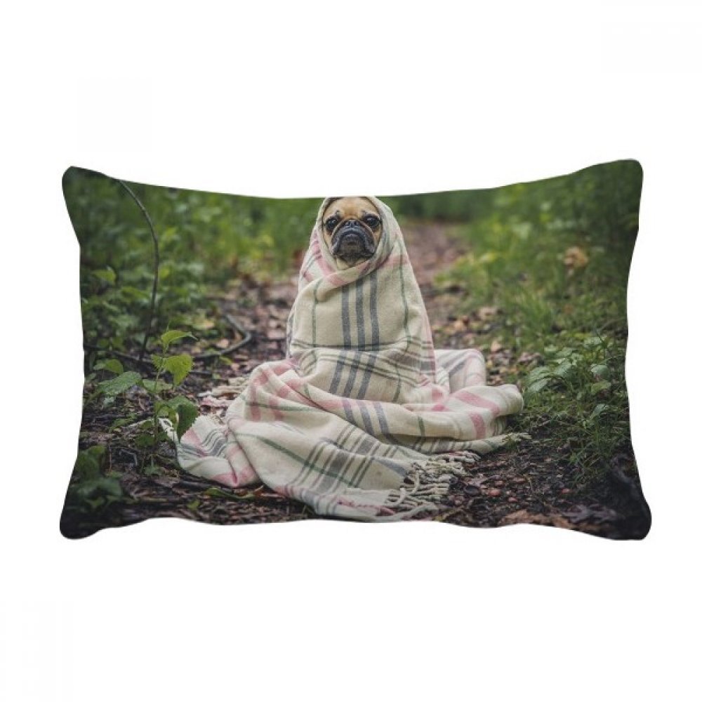Coussin photo bouledogue, le cadeau déco idéal 16x24 pouces