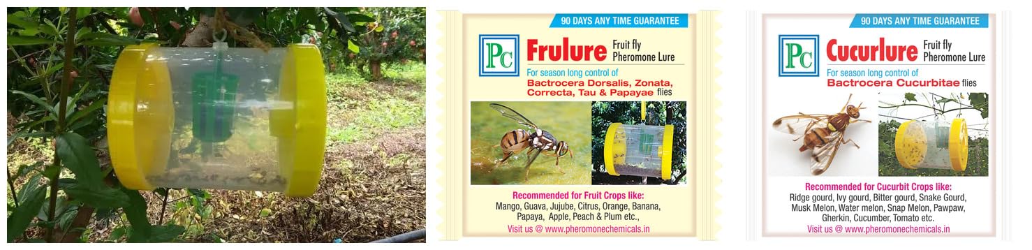 Combo Pack for Cucurbits and Creepers Fruit Fly Trap and Lure - 4 Pack 4 Fruit Fly Traps with 2 Cucurlure (Melon Fly) and 2 Frulure (Lures Works for 75-90 Days)-image-7