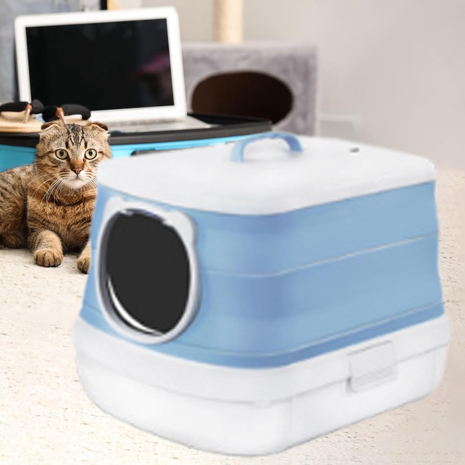 ブルアカ メモリアル カフェ ヒナセット 韓国限定