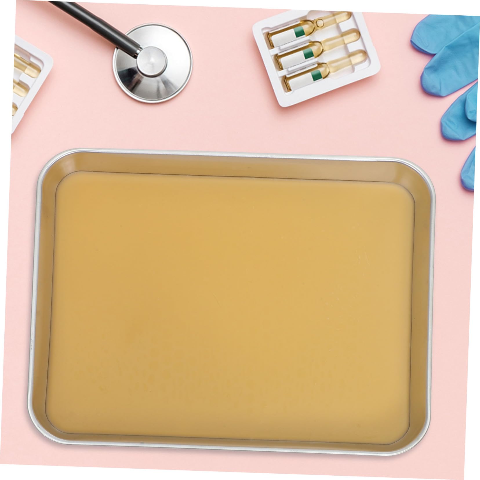 Cabilock Vassoio da Dissezione in Acciaio Inox con Cera per Laboratorio Biologico Design Preciso e Bordi Arrotondati Antinfortunistici Strumento Versatile per Studi Anatomici Scuola Media e