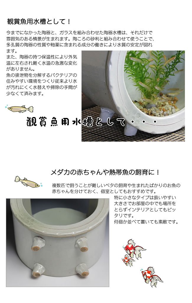 Amazon.co.jp: 信楽焼 陶器水槽丸型（白色） 水槽 すいそう スイソウ