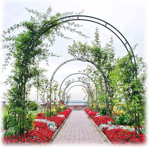 Arche de jardin en métal robuste de 5m en fer forgé pour rosiers