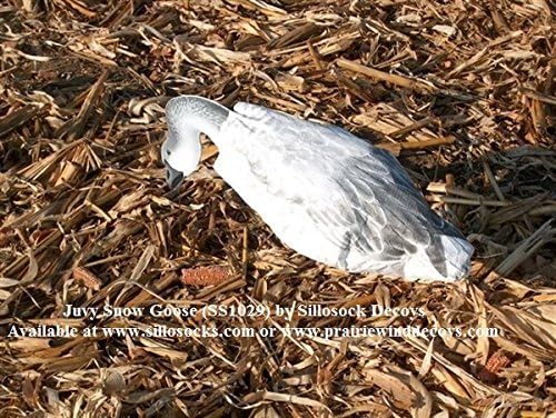 Juvy Snow Goose Decoy (12-Pack), White