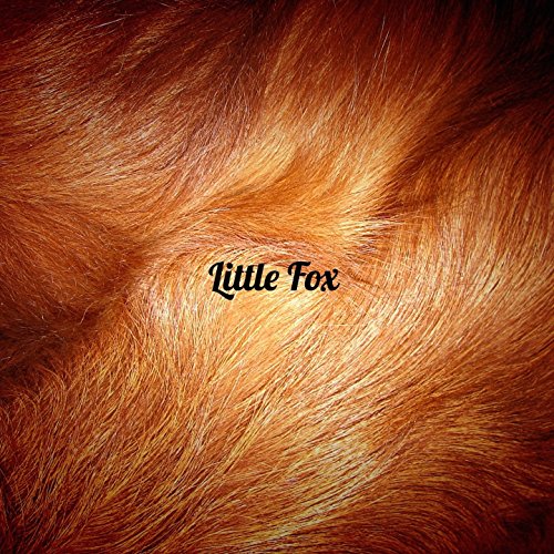 Lithe Fox Amazon.com: สุดแท้แต่ : Little Fox: Digital Music