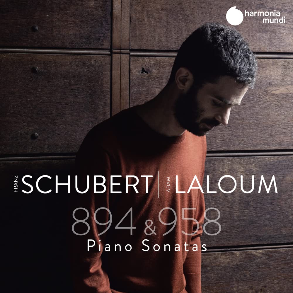 Franz Schubert: Piano Sonatas 894 & 958