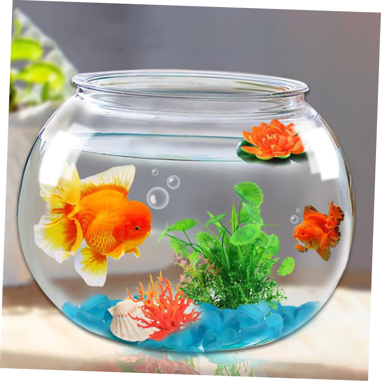 Wall Mounted Aquarium Price Fish Bowl Wall Mount Glass Transparent