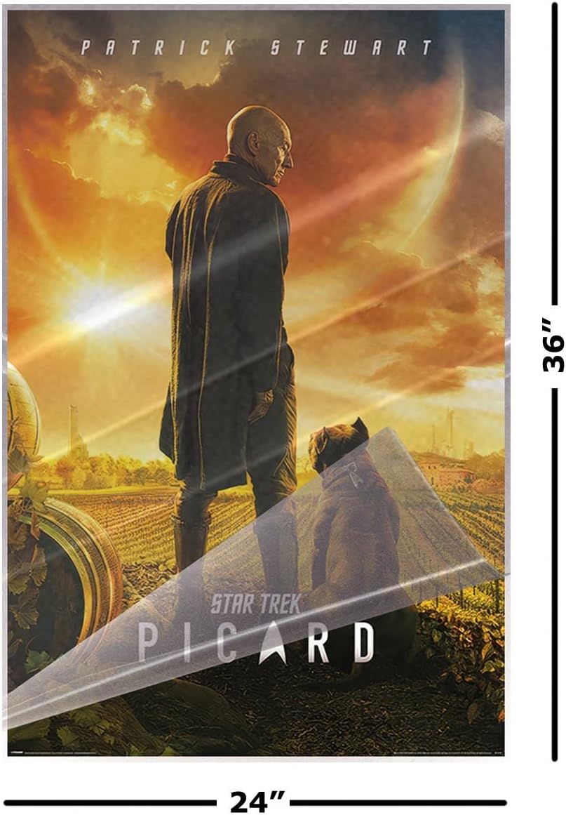 POSTER STOP ONLINE Star Trek Picard - TV Show Poster (Teaser - Jean-Luc Picard & Dog) (Size: 24" x 36") (Laminated Poster & Strips)