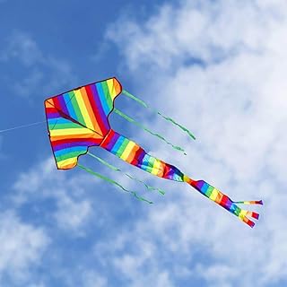Kites Kite Reel Accessories Children's Outdoor Toys Medium Long Tail Rainbow Kite with Kite Reel Including 100m Wire Stunt Kite Kite Toys