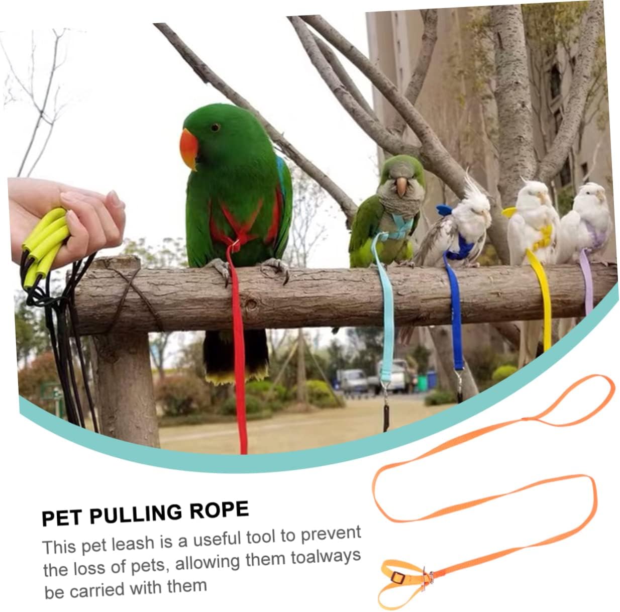 2pcs Pet Pulling Rope Lightweight and Hamster Turtle and Lizard Leash for Outdoor Walking and Hiking Activities for Animals