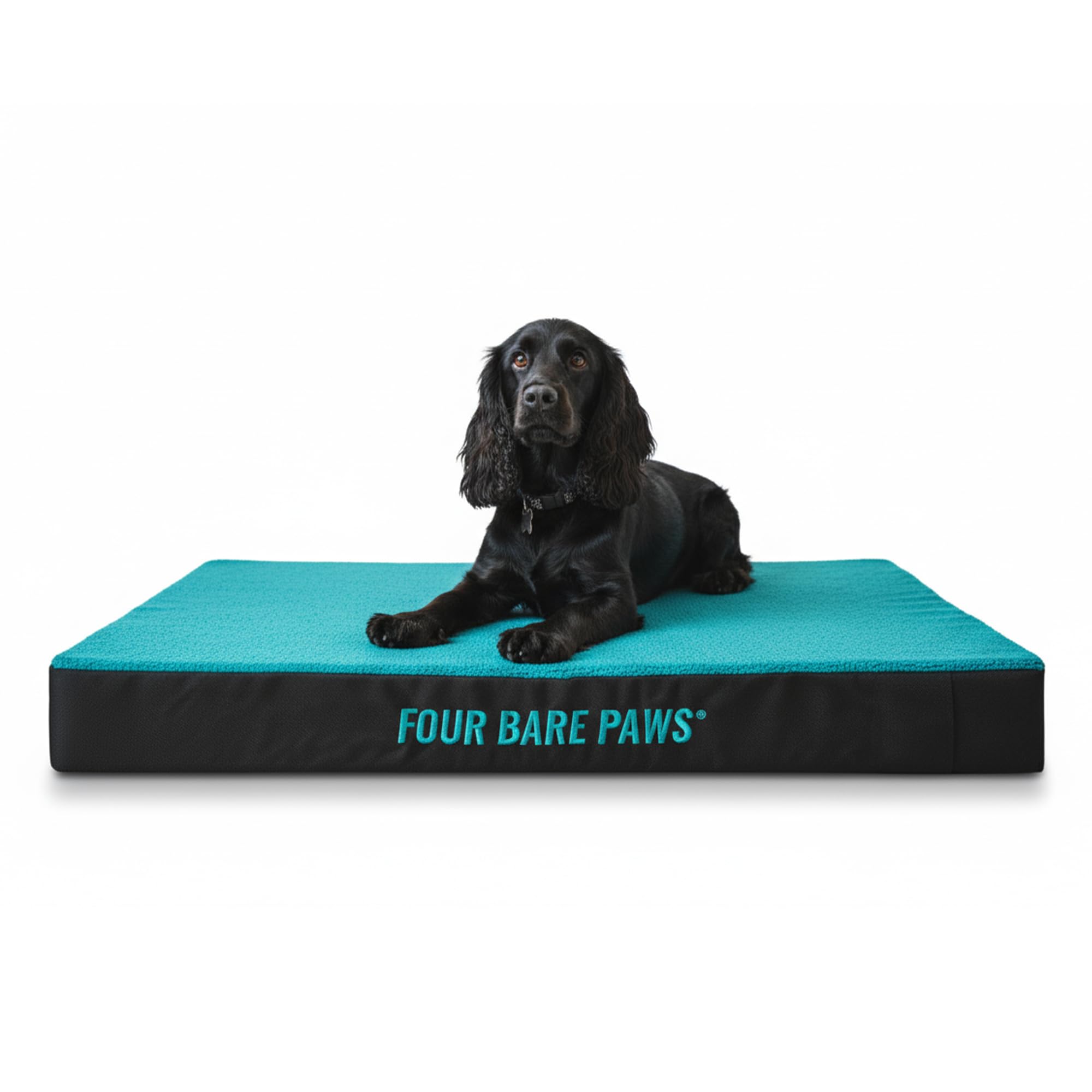 Four Bare Paws Orthopedic Dog Bed Mattress – Supportive Pet Bed for Small, Medium & Large Dogs – Washable Cover, Durable Comfort Cushion for Joint Relief, Ideal for Senior & Arthritic Dogs