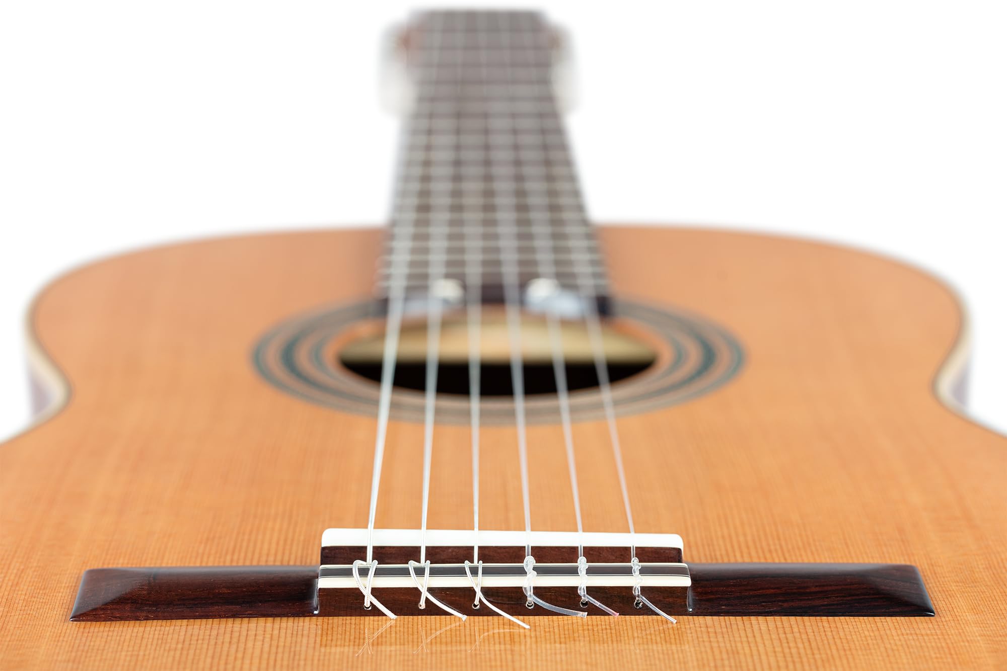 Ortega Traditional Series - Chitarra con corde in nylon, realizzata a mano in Spagna, con custodia professionale (R18G)