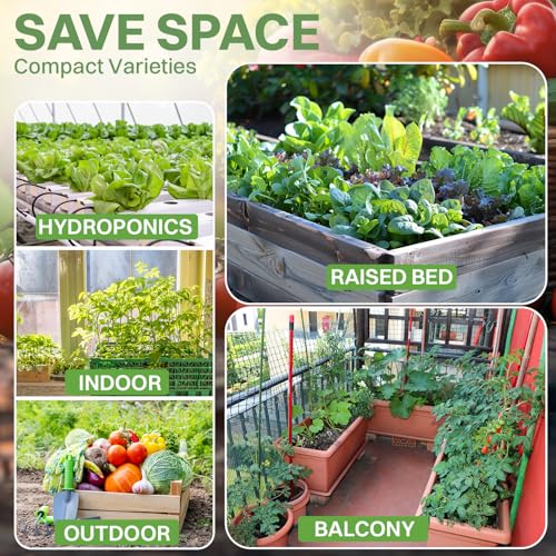 THUNDERBAY-GBSE Vegetable & Herb Seed Variety Pack of 37 Heirloom Sachets Approx. 5200 Seeds(100% Non GMO,37 Individually Packed Sachets, 37 Planting Tags) 37 sachets d'herbes et de légumes by THUNDERBAY-GBSE - Image 8
