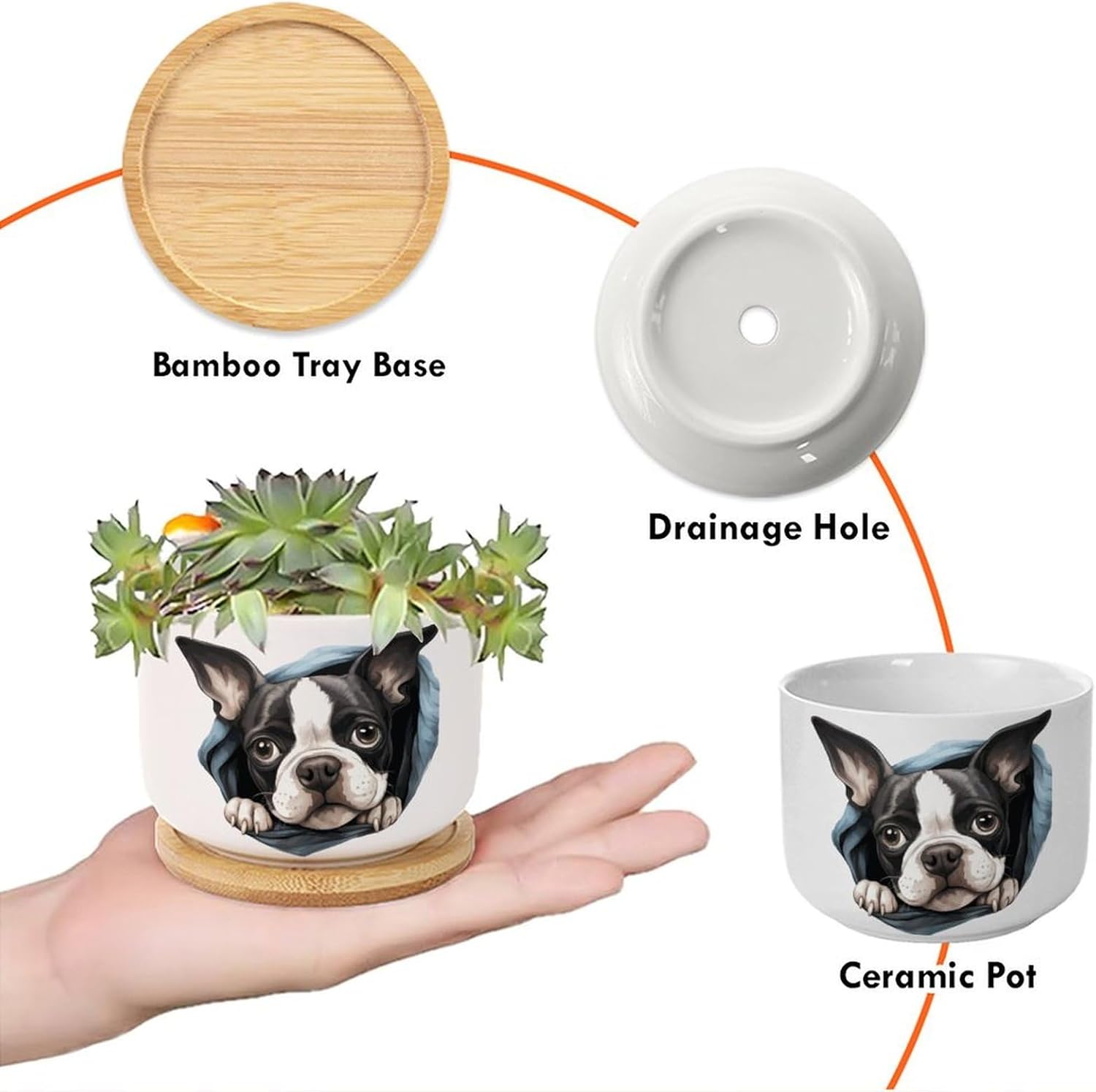 3 Pack Plant Pot Boston Terrier Small Pots for Succulents Boston Terrier Cute Funny Peeking Dog Puppy Cactus Pot for Indoor Dog Owner Gift Plant Pot with Drainage