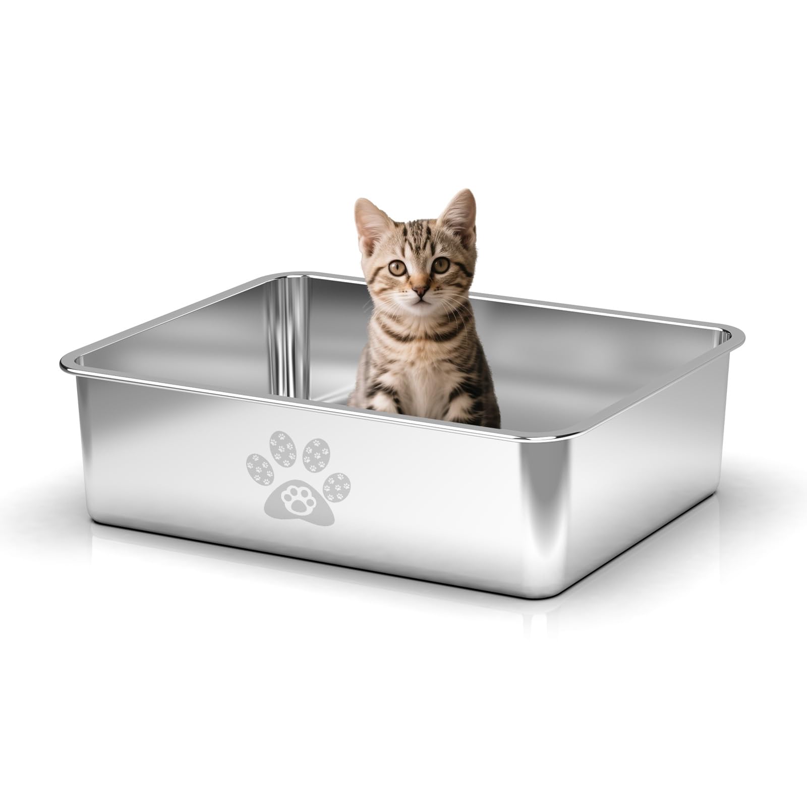 PTLOM Lebensmittelgrade Katzenklo Edelstahl Katzentoilette - Katzenklo Offen Klein Mit Niedrigem Einstieg für ältere Katzen, Abgerundete Kanten, Rostfrei & Antihaftbeschichtet,45x35x15cm