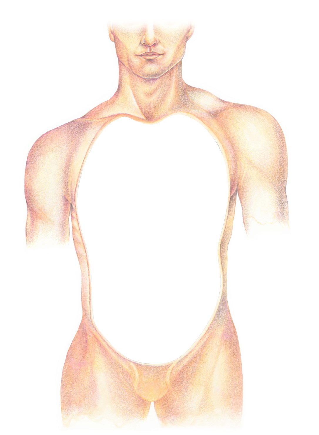 Atlas of the Human Body
