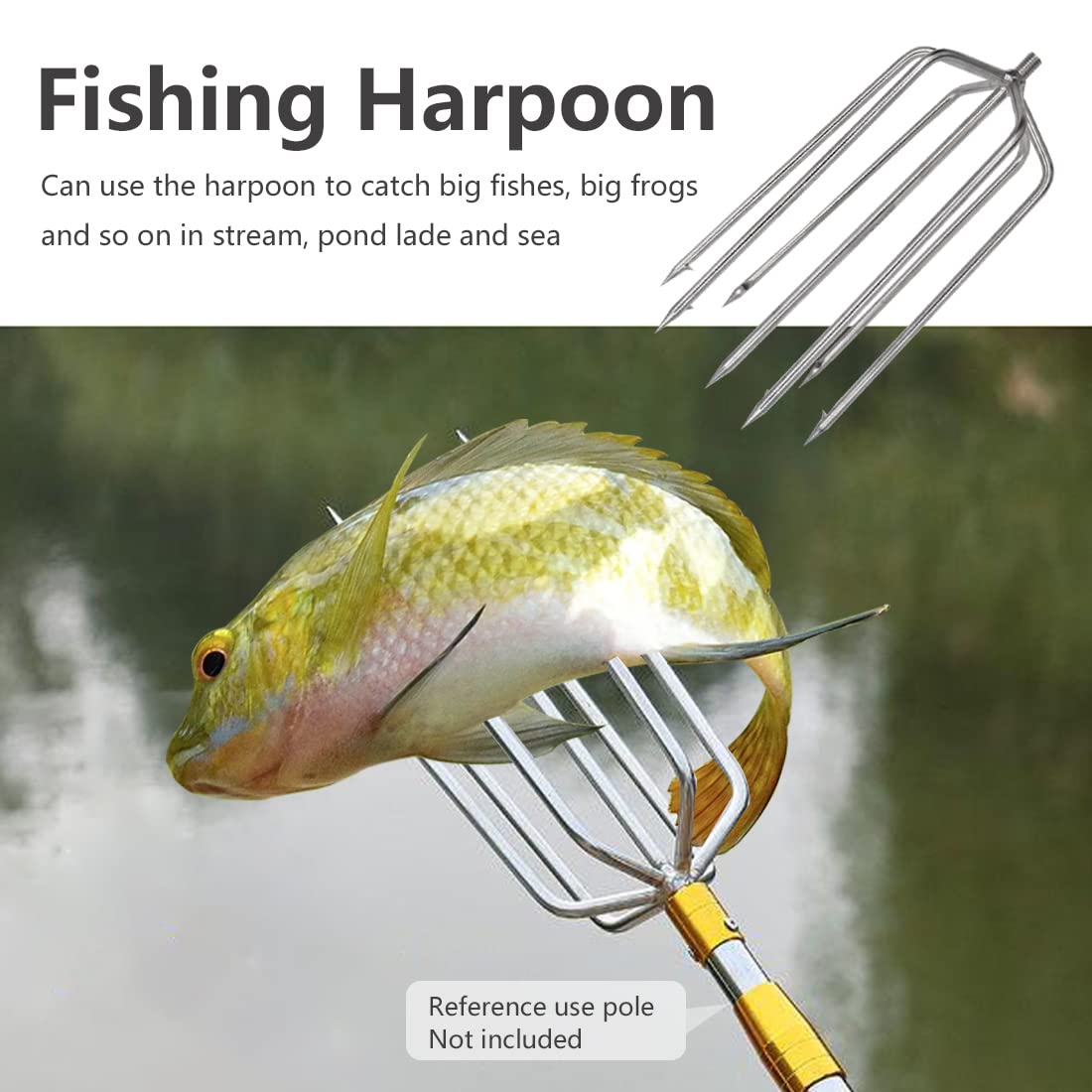 Dutiplus Große Angelharpune mit 7–11 Zinken, aus Edelstahl, Jagdfisch, Gaff, Gabelhaken mit 8 mm Schraube zum Fangen von großen Fischen, Maulwurf, großen Bullfrosch