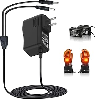 8.4V Heated Gloves Charger for Savior, Snow Deer, Sun Will Heated Gloves Socks Hats Vest Mittens Heating Pad Dual Port Charger Compatible with 7.4V SWB01 SWB03 Rechargable Lithium Polymer Batteries