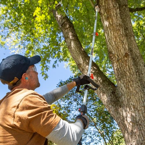 SENIX CSP4QL-L 4QL 26.5 cc 4-Cycle Gas Powered Pole Saw with 8-Inch Bar and Chain, Chain Saw Tree Trimmer with Adjustable Extension Pole, Harness Included