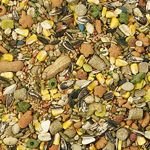 Kaytee Fiesta Pet Mouse And Rat Food, 4.5 Pound #TOP4