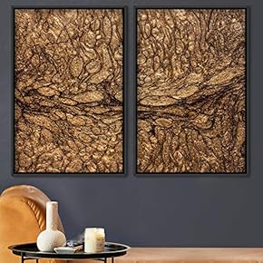 signwin 2 Piece Framed Canvas Wall Art Organic...