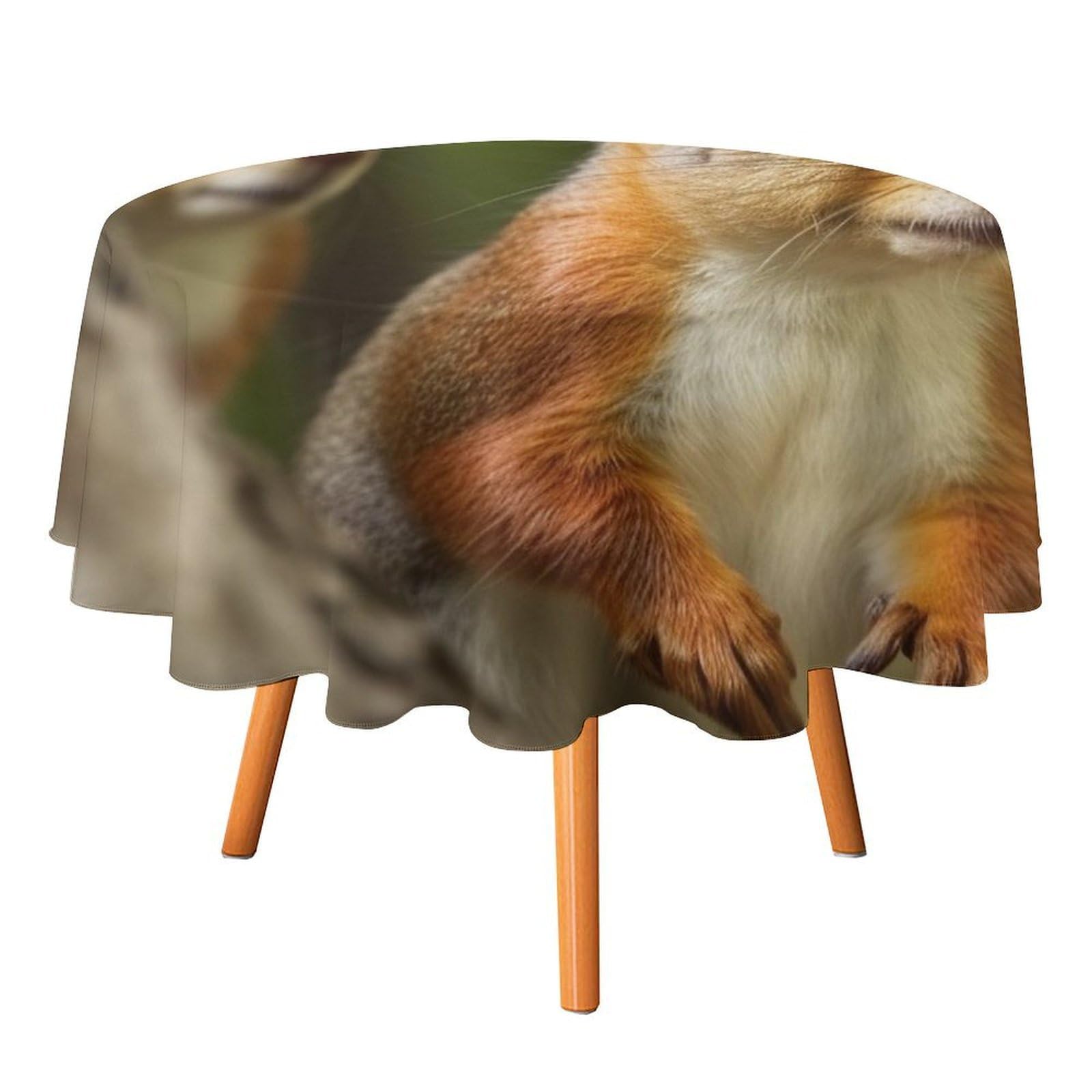 SMAZDFXX Squirrel Tablecloth for Restaurant, Round Polyester Table Cover 50x50in for Party