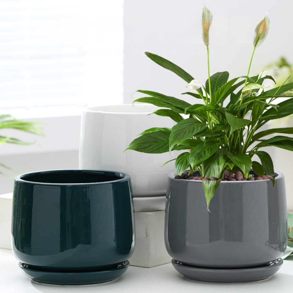 Amazon | Auyyhui植木鉢 陶器 観葉植物 鉢 大型 陶器鉢 観葉植物