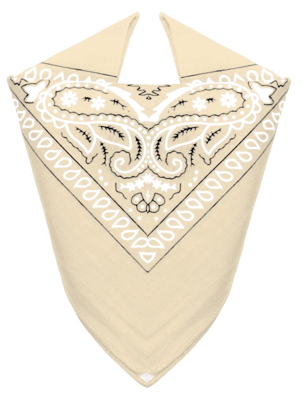 Van Der Rich Bandanas Paisley 100% Algodón