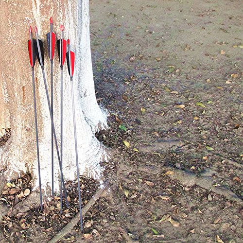 Archery Carbon Arrows 400 Spine With 4" Real Feather Fletching 100 Grain Points For Compound Recurve Longbow (12 Pack) (29 Inch Arrows) #TOP2