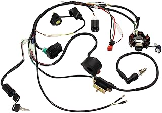Complete Electric Wiring Harness for Chinese ATV UTV Go Kart Taotao 50cc 70cc 90cc 110cc 125cc