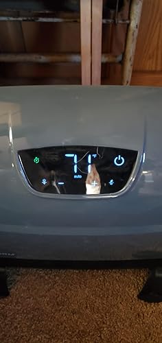 Review Image by Kellib420