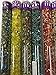Seed Beads,Mixed by Modebeads Czech Glass Beads. 5 inch 6 tube assortment 20 grams, approximately, per, tube.