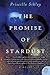 The Promise of Stardust: A Novel