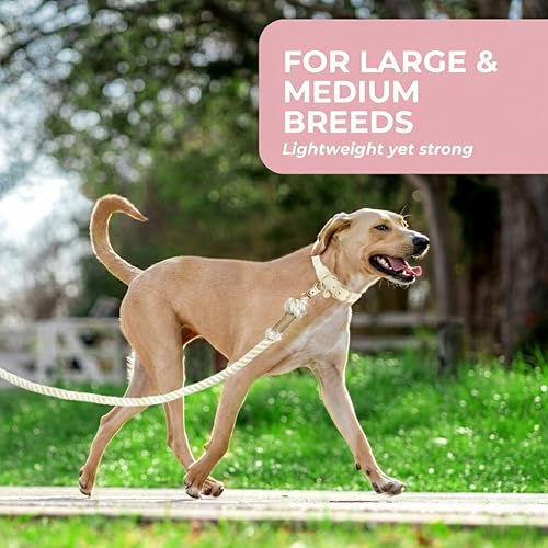 Miniatura 4 de Correa de cuerda para perro de alta calidad, correa de cuerda de algodón trenzada suave y duradera para perros medianosperros grandes, correa ligera