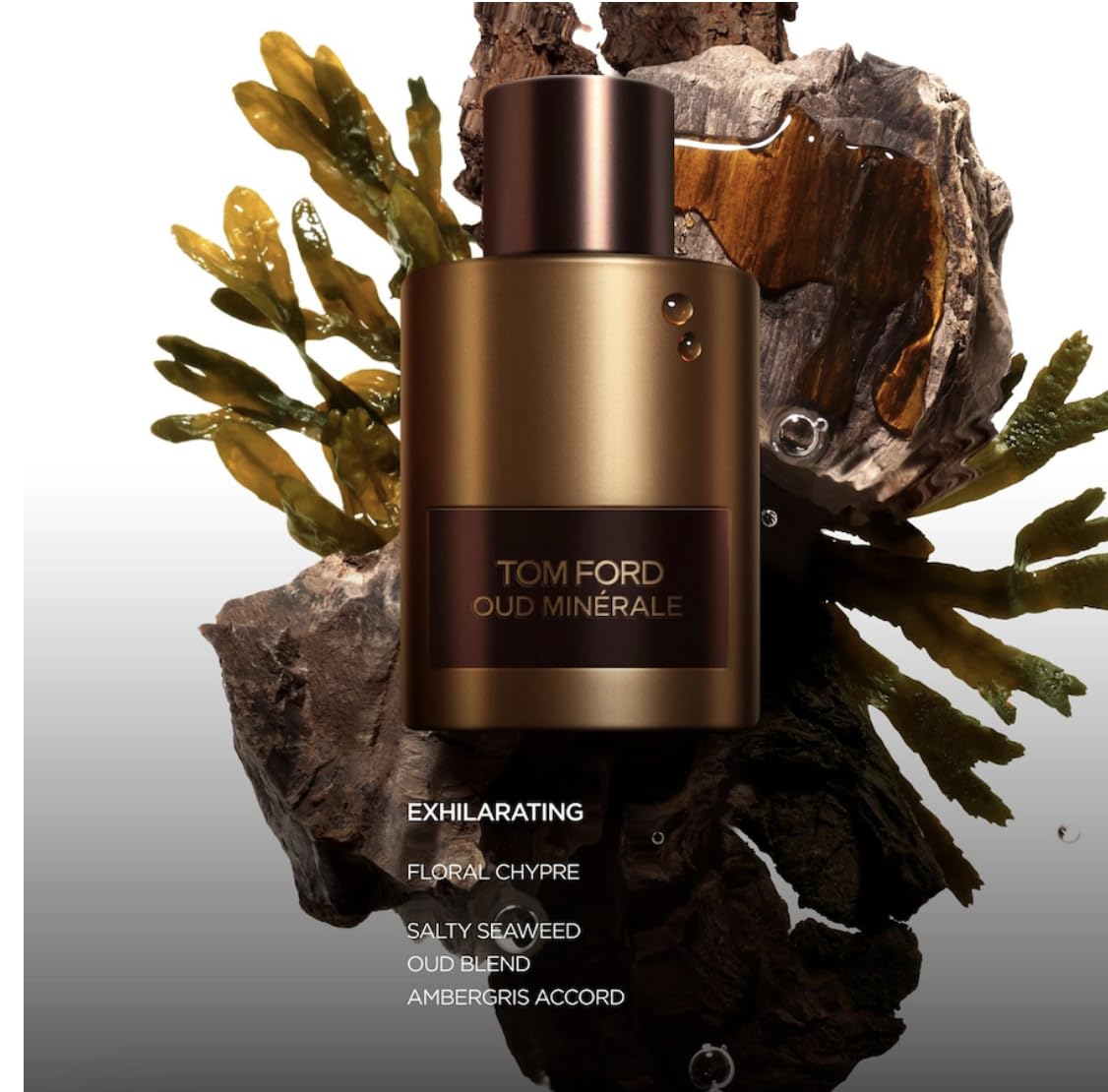 TOM15 トムフォード　ウードミネラルEDP50ml Celes (セレス) | Tom Ford – Oud Minérale (トムフォード