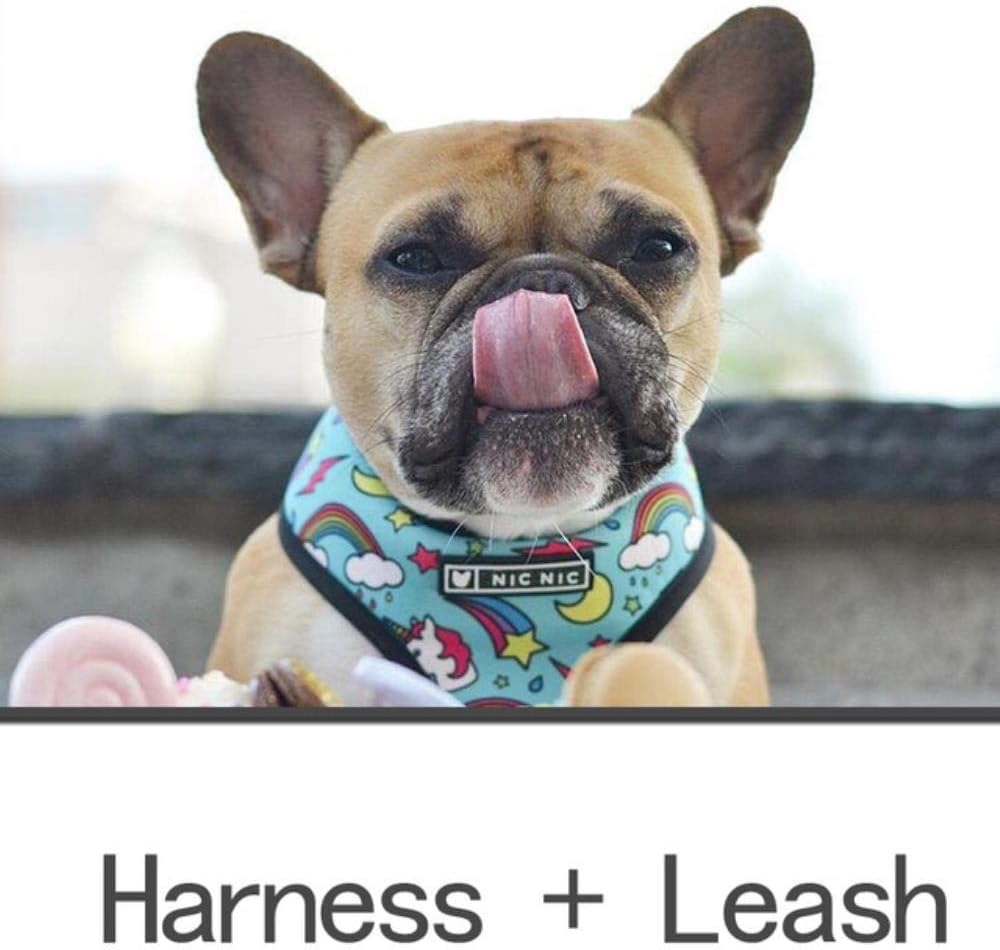 imbracature per bulldog