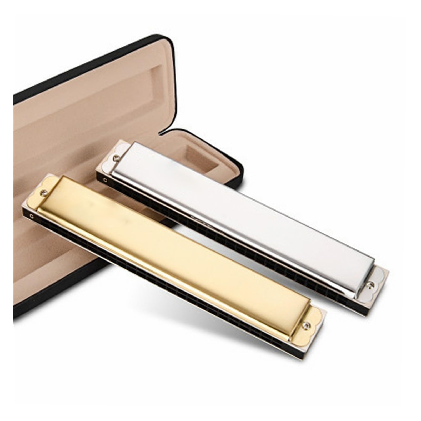 Armoniche a bocca Armonica Polifonica A 24 Fori Per Adulti Strumento Armonica In Do Per Principianti(Silver)