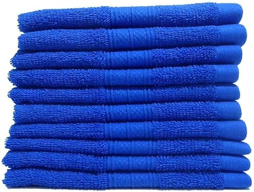 Bunty Plush 450GSM Face Cloth 10-Piece Set, 30 cm x 30 cm Size, Victoria Blue