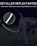 Ver la foto 6